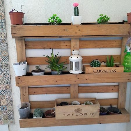 Santa Catarina Patio Apartment - With Washer Machine Porto Luaran gambar