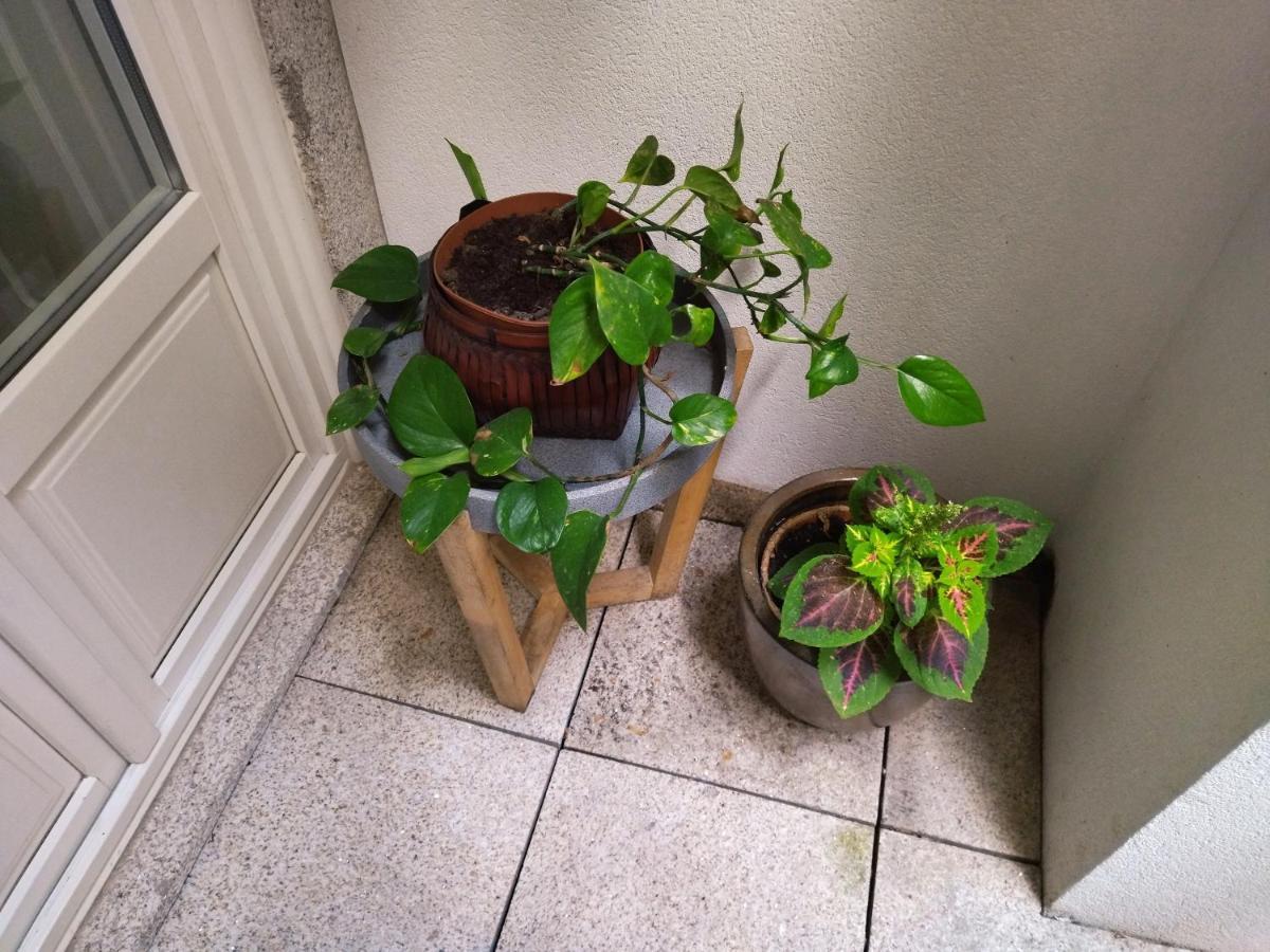 Santa Catarina Patio Apartment - With Washer Machine Porto Luaran gambar
